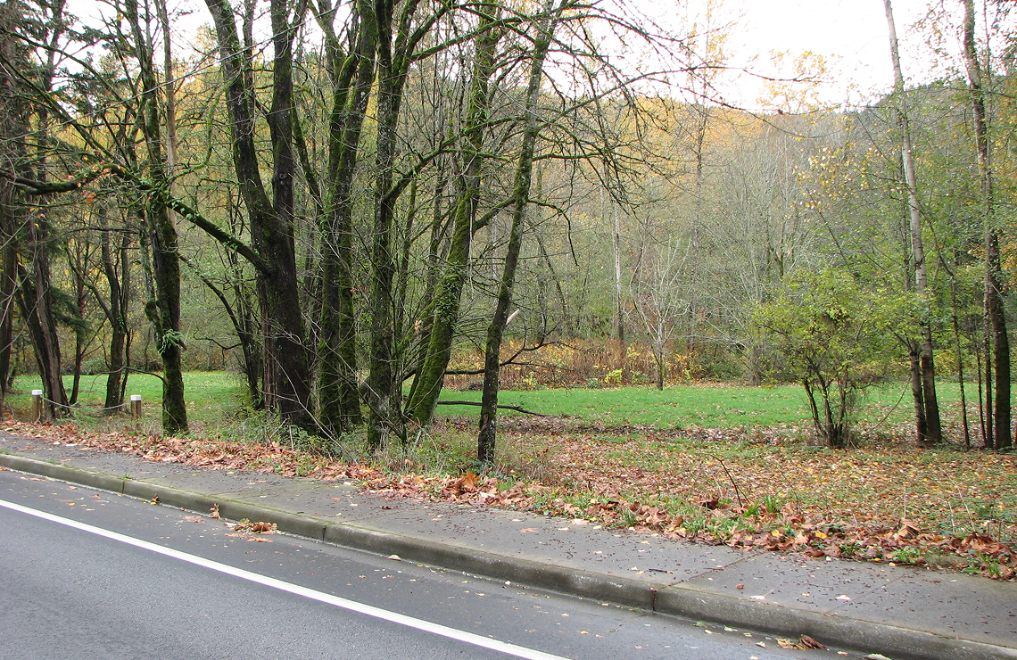 Ingi Johnson park